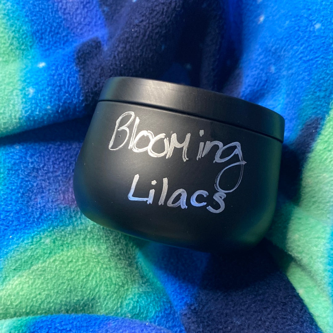 Blooming lilacs